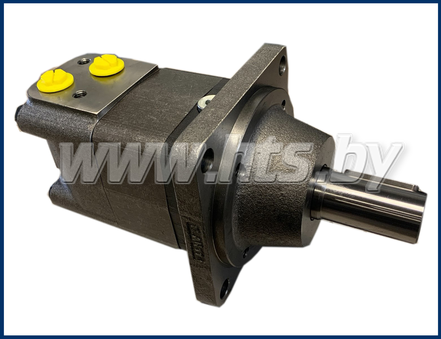 Гидромотор героторный MSW 315 C (M+S) купить в ОДО ГидроТехСервис