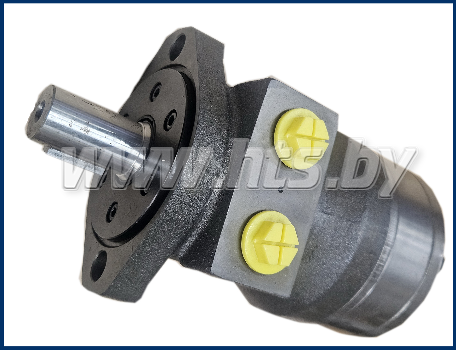 Гидромотор героторный HMRS 160 C купить в ОДО ГидроТехСервис
